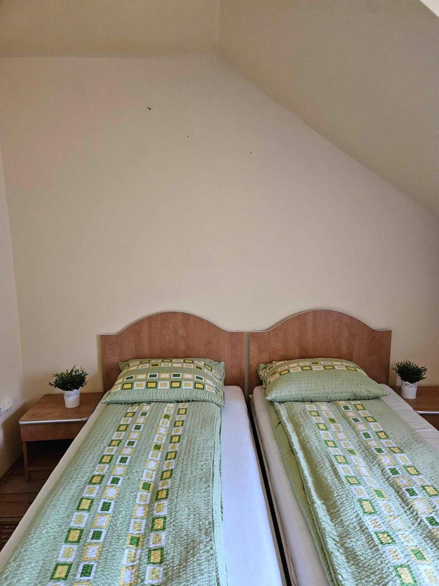 Panzio Anett Bed & Breakfast Pietroasa  Exterior foto