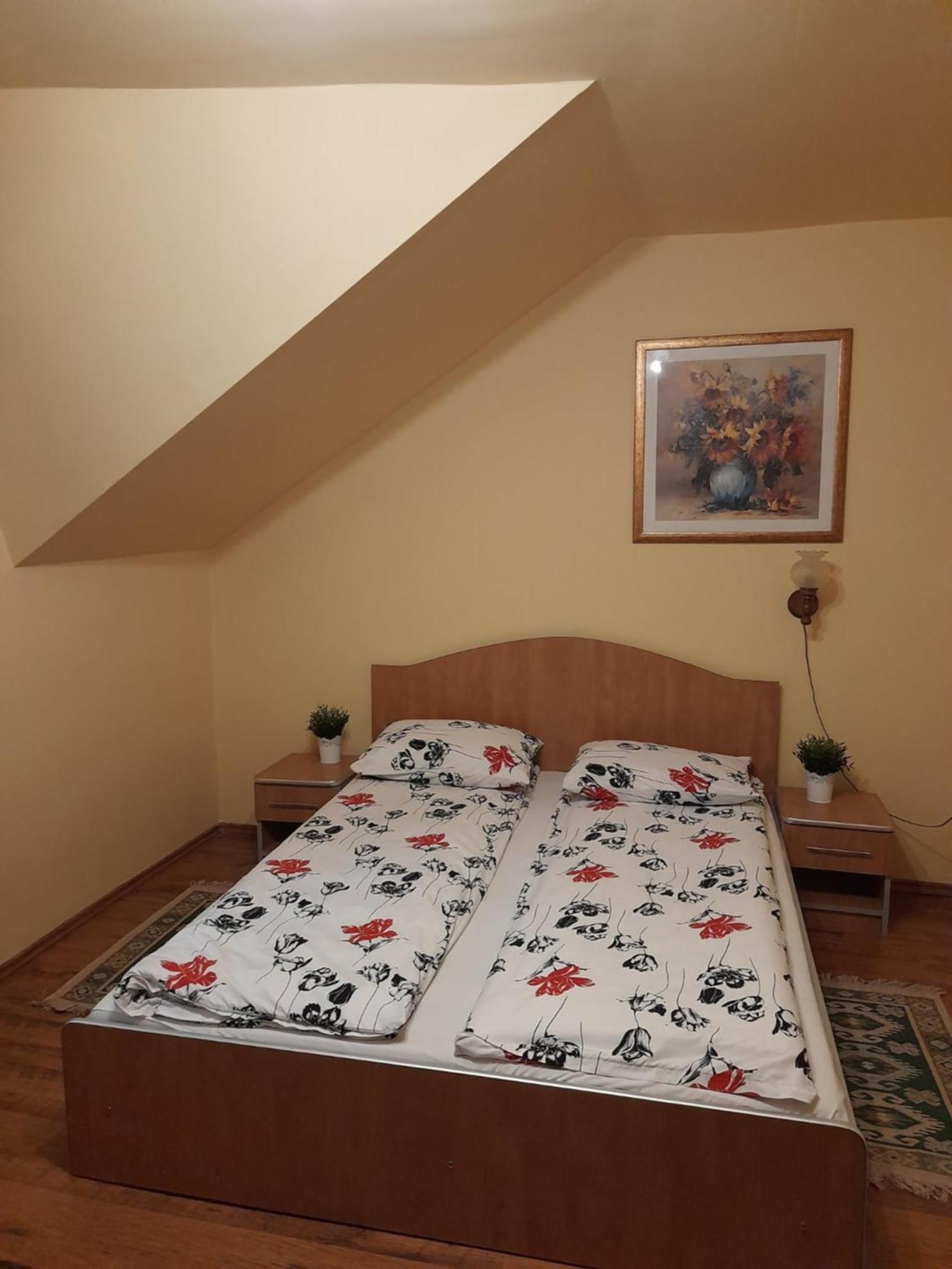 Panzio Anett Bed & Breakfast Pietroasa  Exterior foto